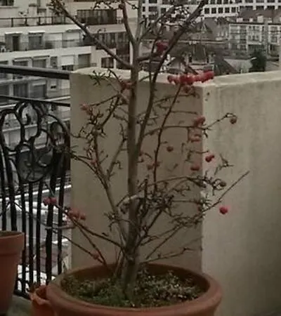 Les De - Parc Des Expositions Porte De Versailles 4*